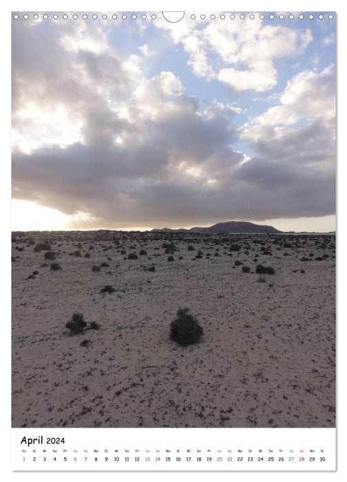 Fuerteventura -schlicht schön (CALVENDO Wandkalender 2024)
