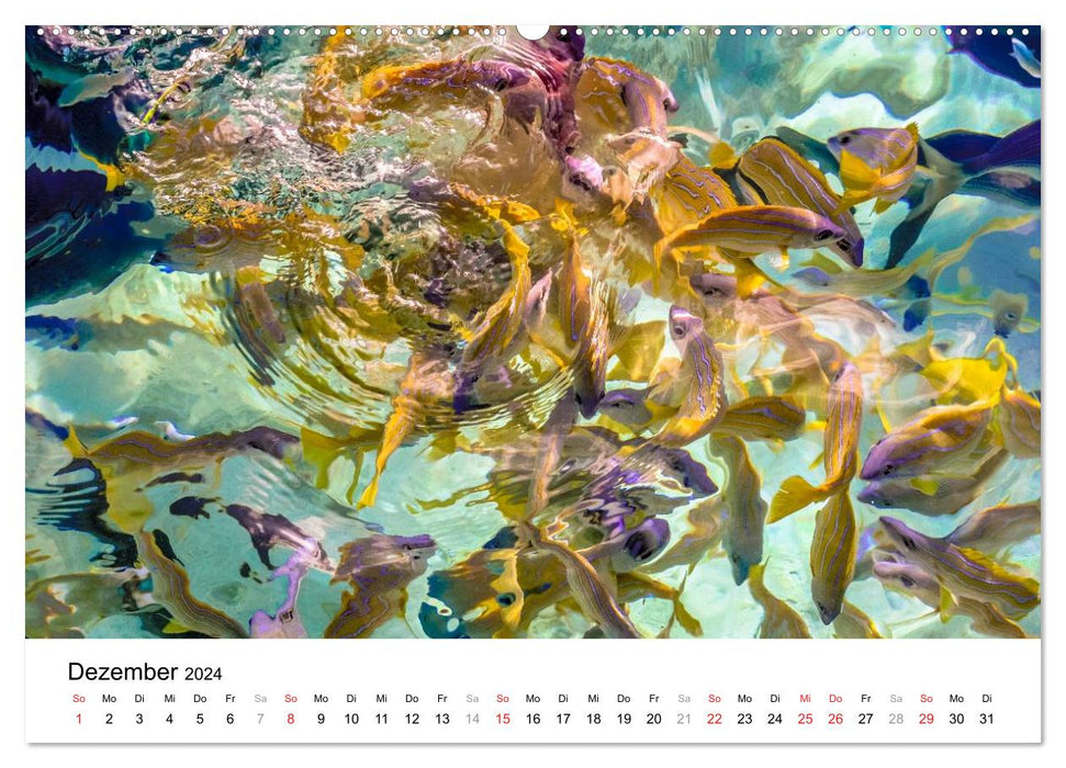 Unterwasserwelt der Malediven I (CALVENDO Wandkalender 2024)