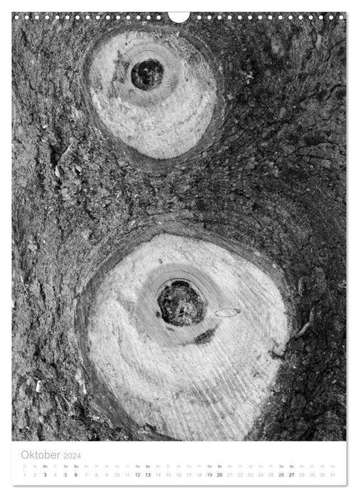 Holz (CALVENDO Wandkalender 2024)