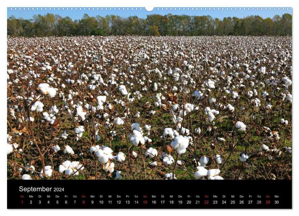 Sud-Est des États-Unis (Calendrier mural CALVENDO 2024) 