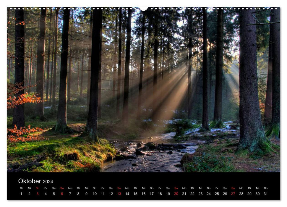 Naturpark Teutoburger Wald - Silberbach (CALVENDO Premium Wandkalender 2024)