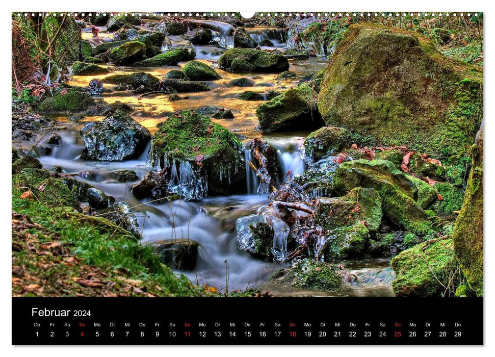 Parc naturel forestier de Teutoburg - Silberbach (Calvendo Premium Wall Calendar 2024) 