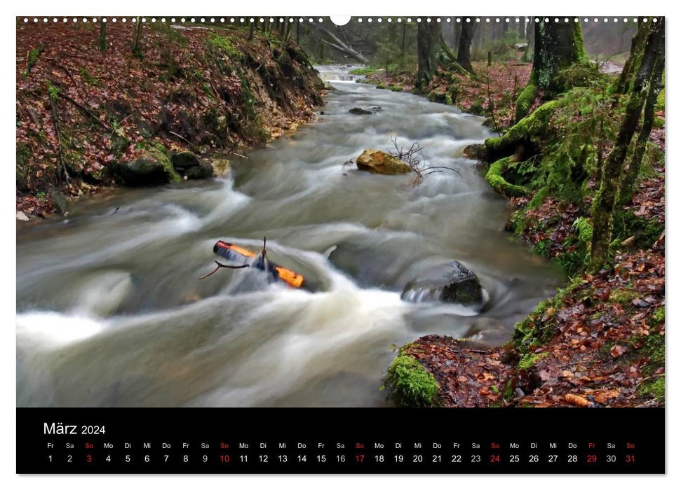 Parc naturel forestier de Teutoburg - Silberbach (Calvendo Premium Wall Calendar 2024) 