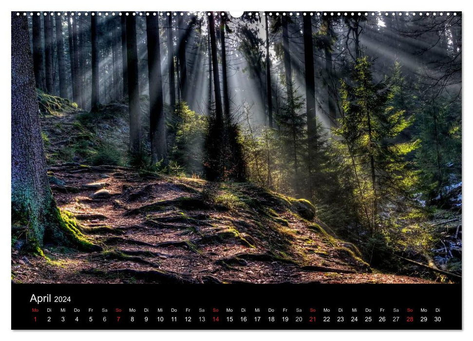 Naturpark Teutoburger Wald - Silberbach (CALVENDO Premium Wandkalender 2024)