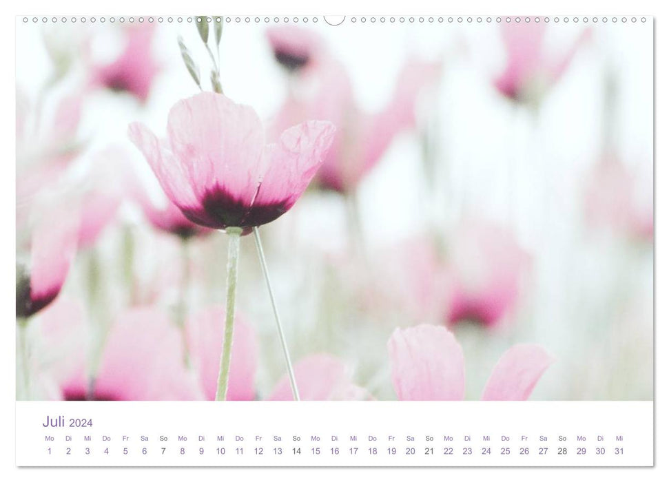 Blumen & Blüten Träume (CALVENDO Premium Wandkalender 2024)