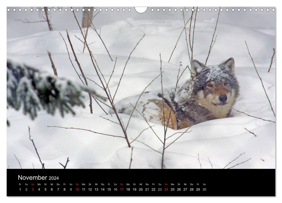 Schweden 2024 (CALVENDO Wandkalender 2024)