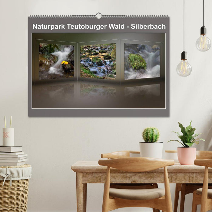 Parc naturel forestier de Teutoburg - Silberbach (calendrier mural CALVENDO 2024) 