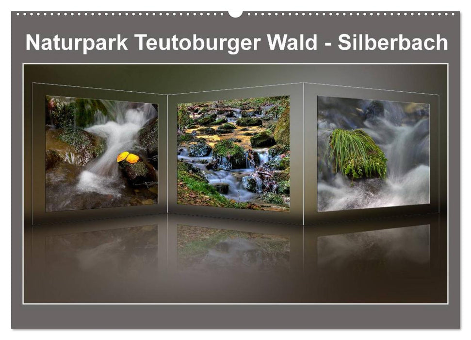 Naturpark Teutoburger Wald - Silberbach (CALVENDO Wandkalender 2024)