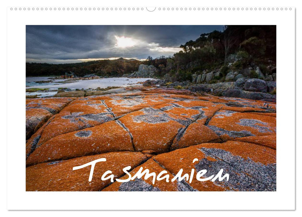 Tasmanie (calendrier mural CALVENDO 2024) 