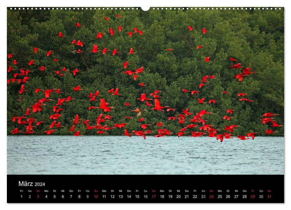 Trinité-et-Tobago (Calendrier mural CALVENDO 2024) 