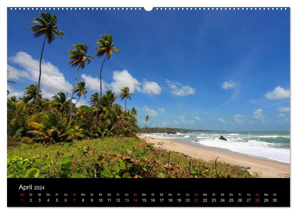 Trinité-et-Tobago (Calendrier mural CALVENDO 2024) 