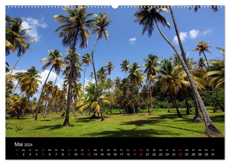 Trinidad & Tobago (CALVENDO Wandkalender 2024)