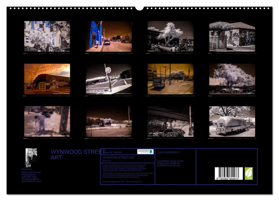 ELLIE PERLA - WYNWOOD STREET ART (CALVENDO Premium Wandkalender 2024)