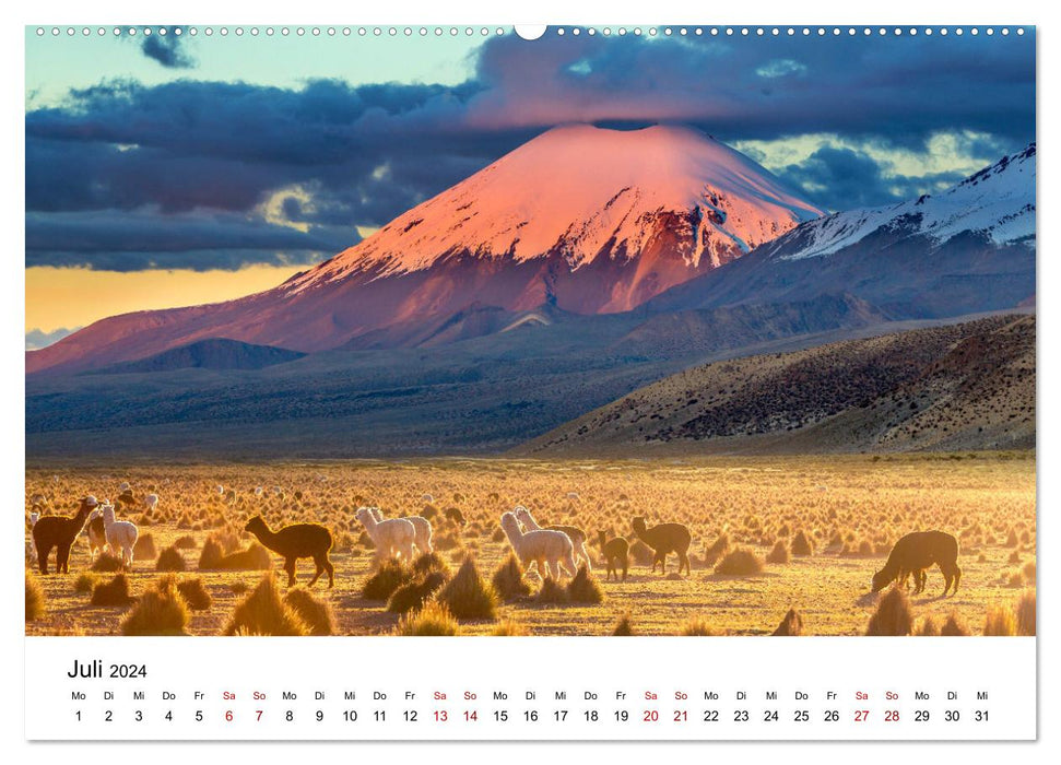 Lamas en Amérique du Sud (Calvendo Premium Wall Calendar 2024) 