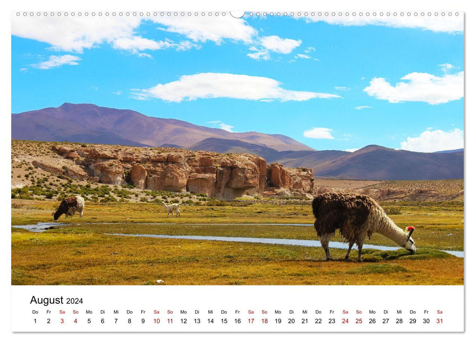 Lamas in Südamerika (CALVENDO Premium Wandkalender 2024)