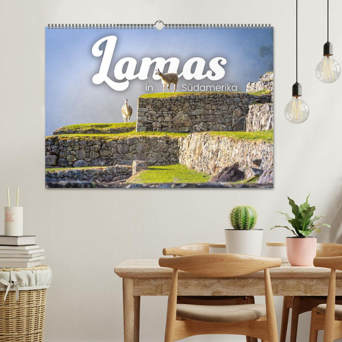 Lamas en Amérique du Sud (Calendrier mural CALVENDO 2024) 