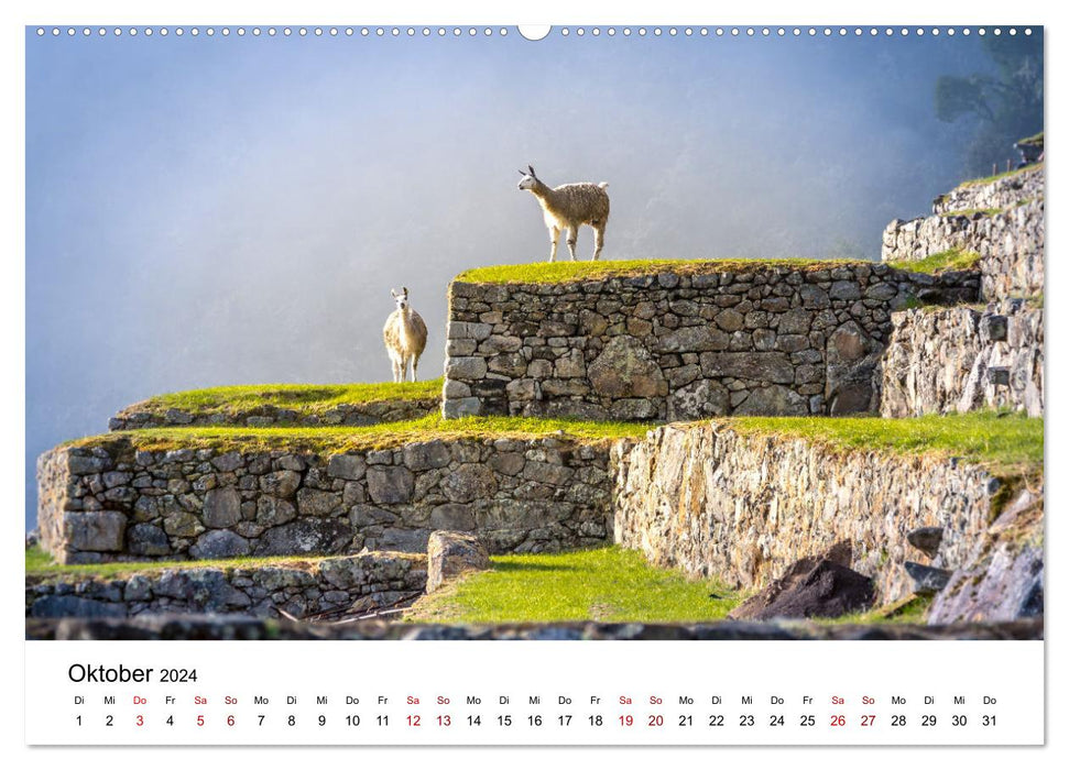 Lamas in Südamerika (CALVENDO Wandkalender 2024)