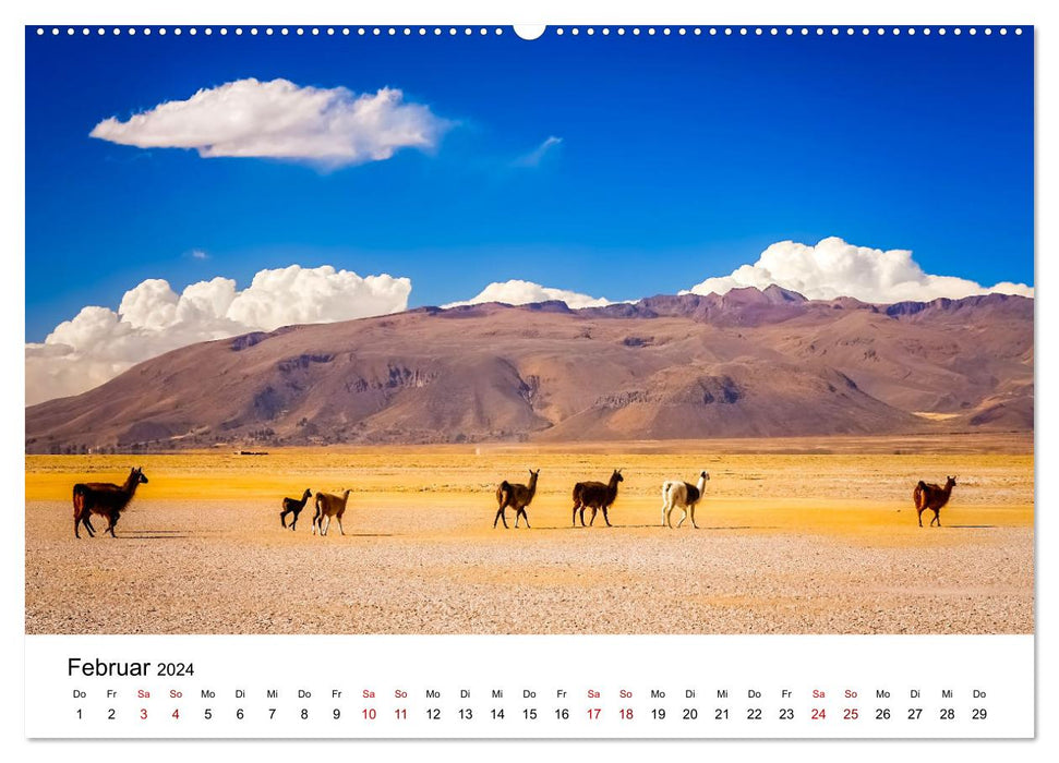 Lamas en Amérique du Sud (Calendrier mural CALVENDO 2024) 