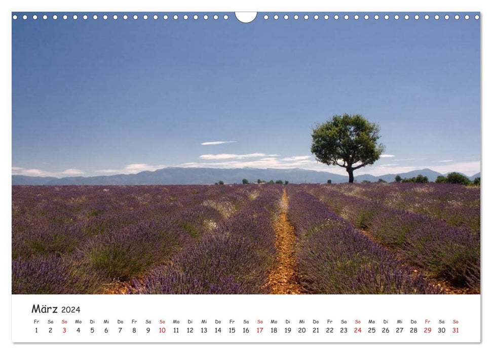 Malerische Provence (CALVENDO Wandkalender 2024)