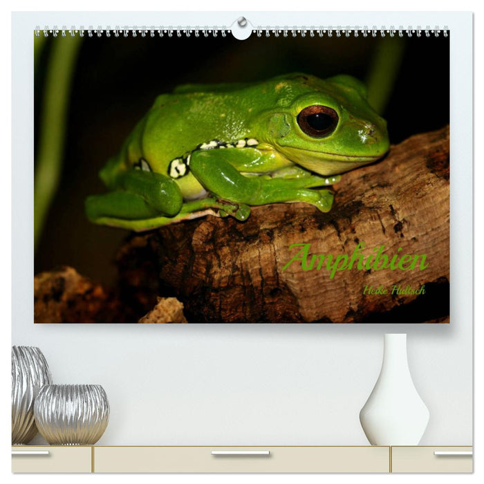 Amphibien (CALVENDO Premium Wandkalender 2024)