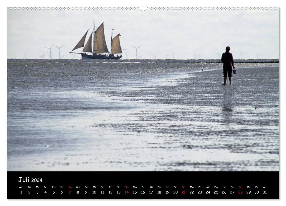 An der Nordseeküste... (CALVENDO Premium Wandkalender 2024)