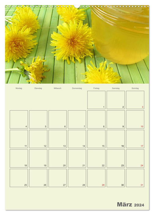 Frisch und fruchtig - Gelees und Konfitüren (CALVENDO Wandkalender 2024)