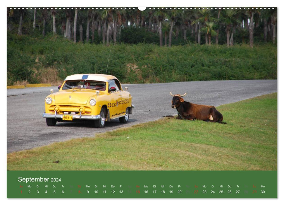 Cars of Cuba 2024 (CALVENDO Wandkalender 2024)