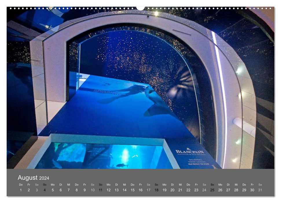 Dubai (CALVENDO Premium Wandkalender 2024)