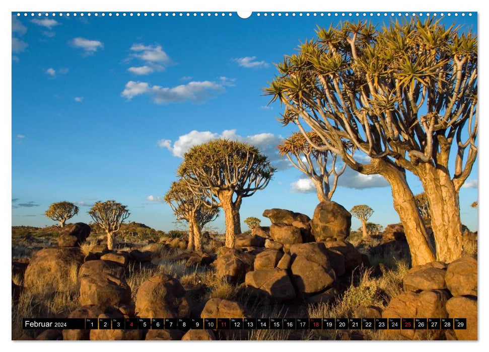 Fascination of Namibia (CALVENDO wall calendar 2024) 