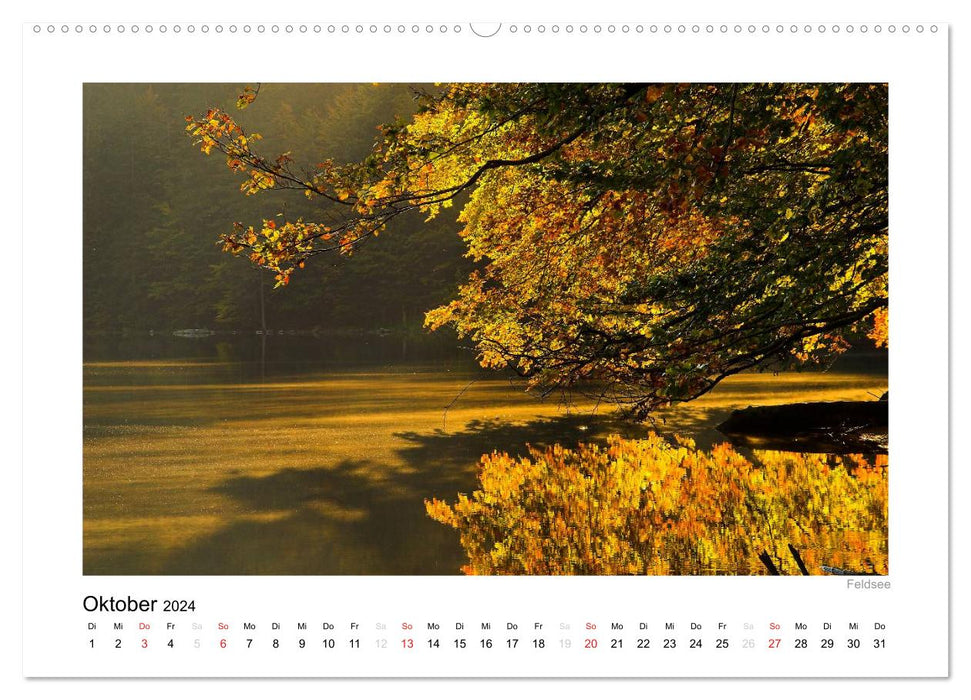 Black Forest 2024 (CALVENDO Premium Wall Calendar 2024) 