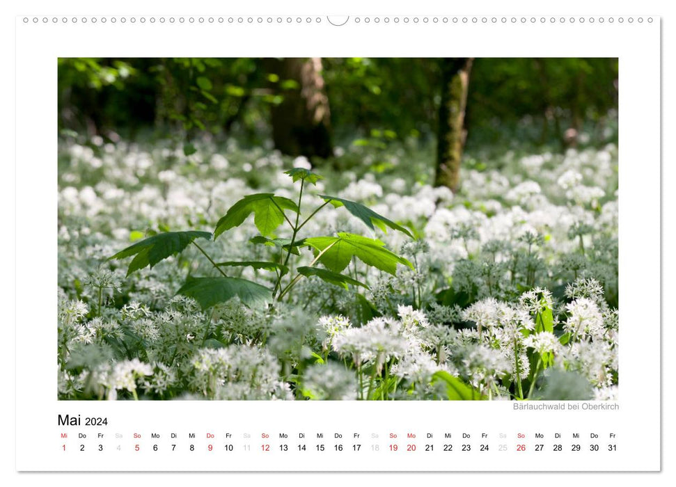 Black Forest 2024 (CALVENDO Premium Wall Calendar 2024) 