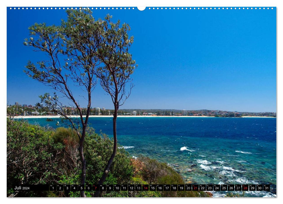 SYDNEY Charming City (CALVENDO Premium Wall Calendar 2024) 