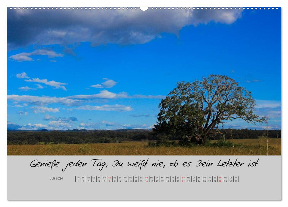 Small and large truths - sayings to ponder (CALVENDO wall calendar 2024) 