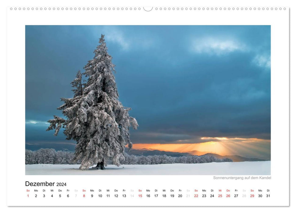 Black Forest 2024 (CALVENDO wall calendar 2024) 