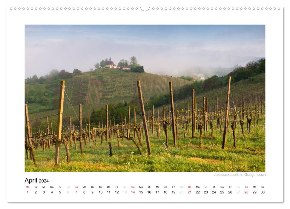 Black Forest 2024 (CALVENDO wall calendar 2024) 