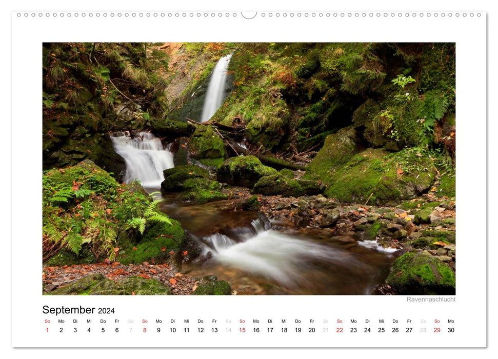 Black Forest 2024 (CALVENDO wall calendar 2024) 