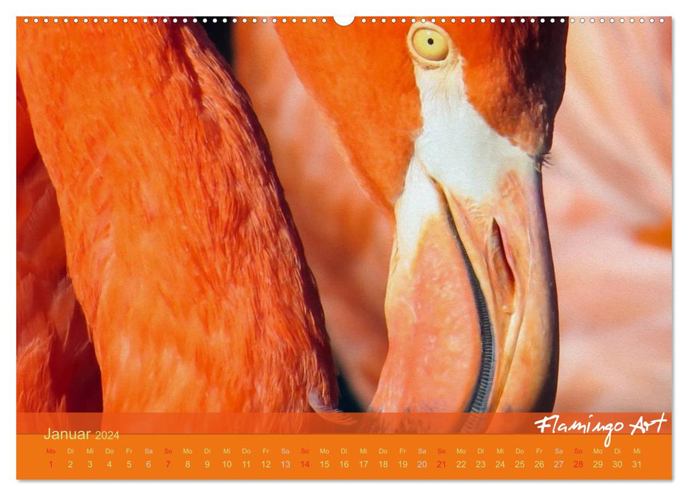 Flamingo Art 2024 (CALVENDO Premium Wall Calendar 2024) 