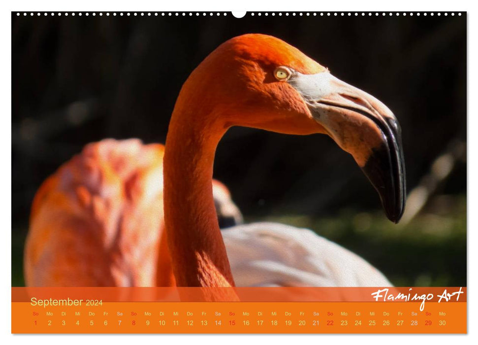 Flamingo Art 2024 (CALVENDO Premium Wandkalender 2024)