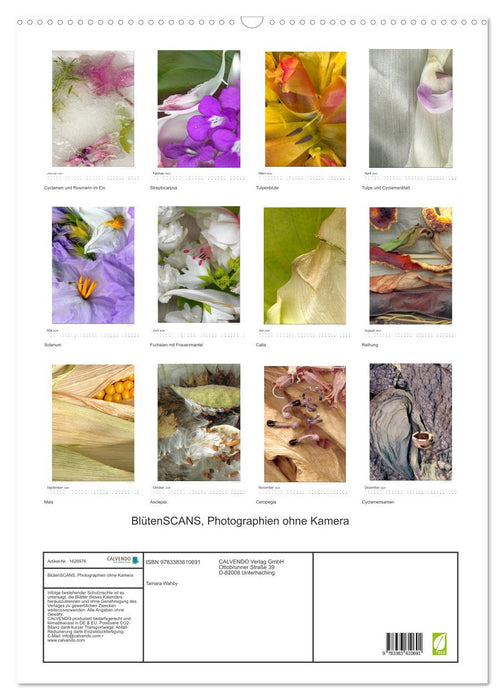 BlütenScans (CALVENDO Wandkalender 2024)