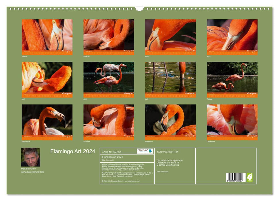 Flamingo Art 2024 (Calendrier mural CALVENDO 2024) 