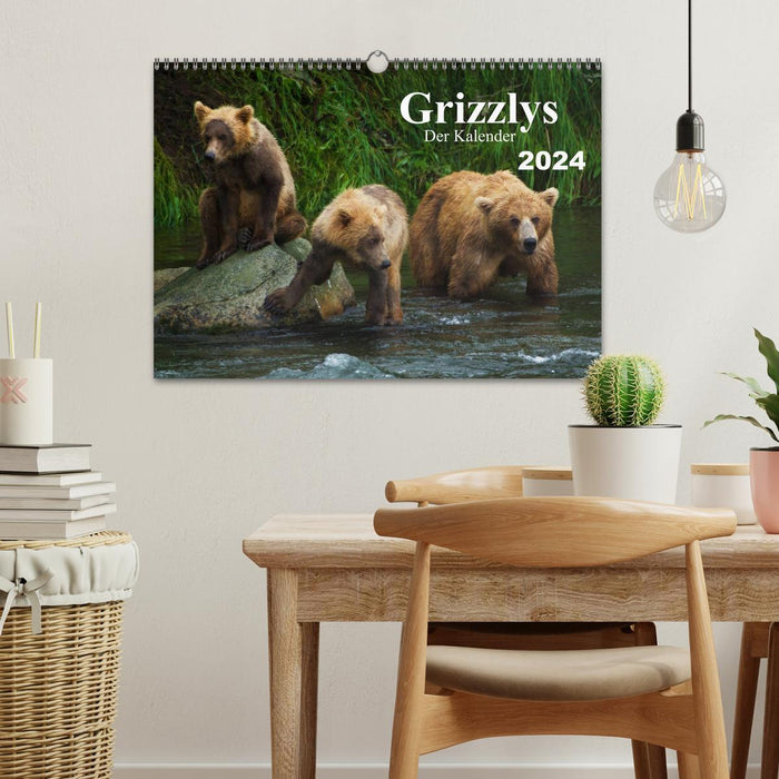 Grizzlies - The Calendar (CALVENDO Wall Calendar 2024) 