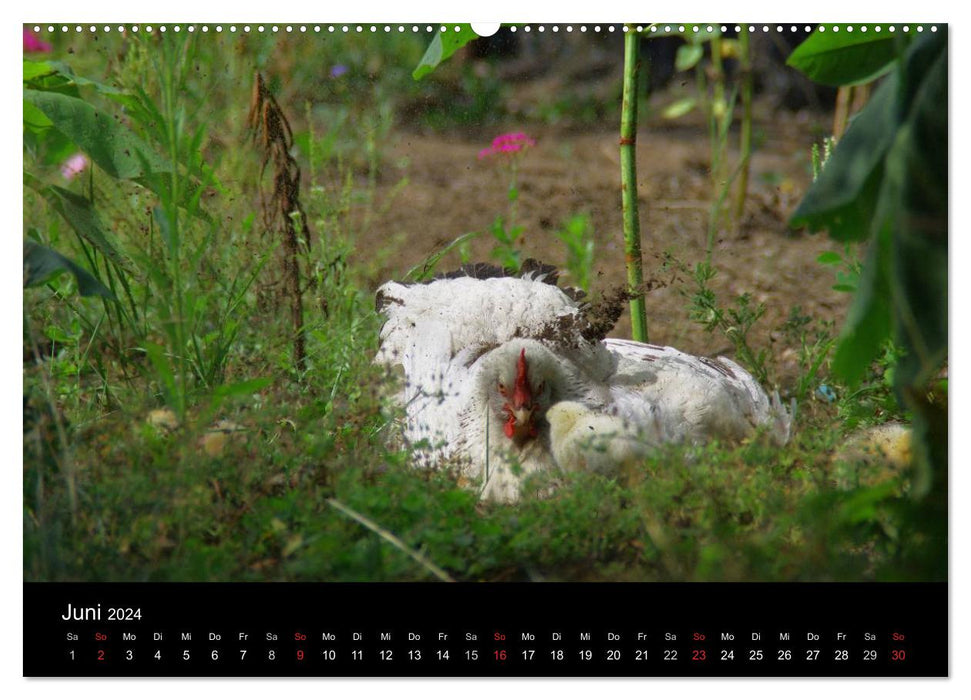 Le monde des animaux (Calendrier mural CALVENDO 2024) 