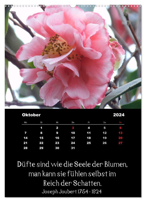 Sayings and quotes from famous people about flowers and nature (CALVENDO Premium Wall Calendar 2024) 