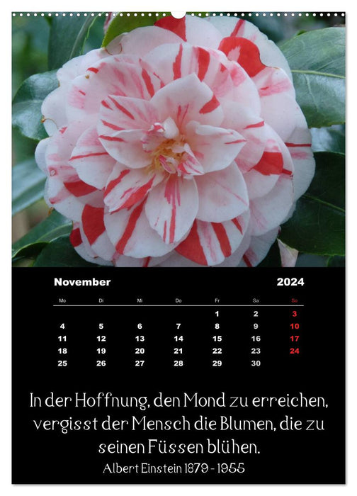 Sayings and quotes from famous people about flowers and nature (CALVENDO Premium Wall Calendar 2024) 