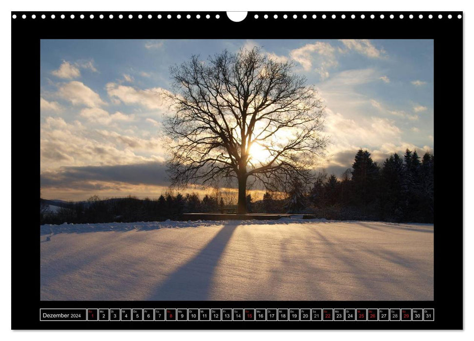 Odenwald - Landschaft sehen (CALVENDO Wandkalender 2024)