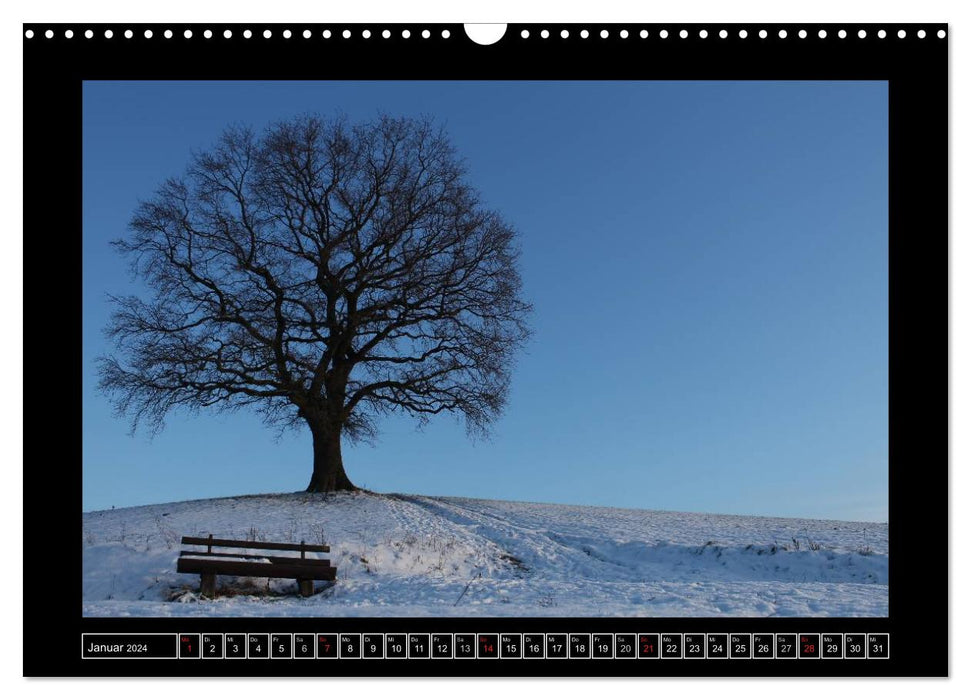 Odenwald - see the landscape (CALVENDO wall calendar 2024) 