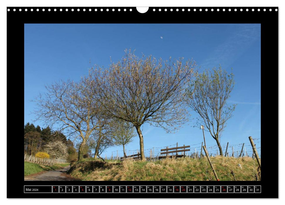 Odenwald - see the landscape (CALVENDO wall calendar 2024) 