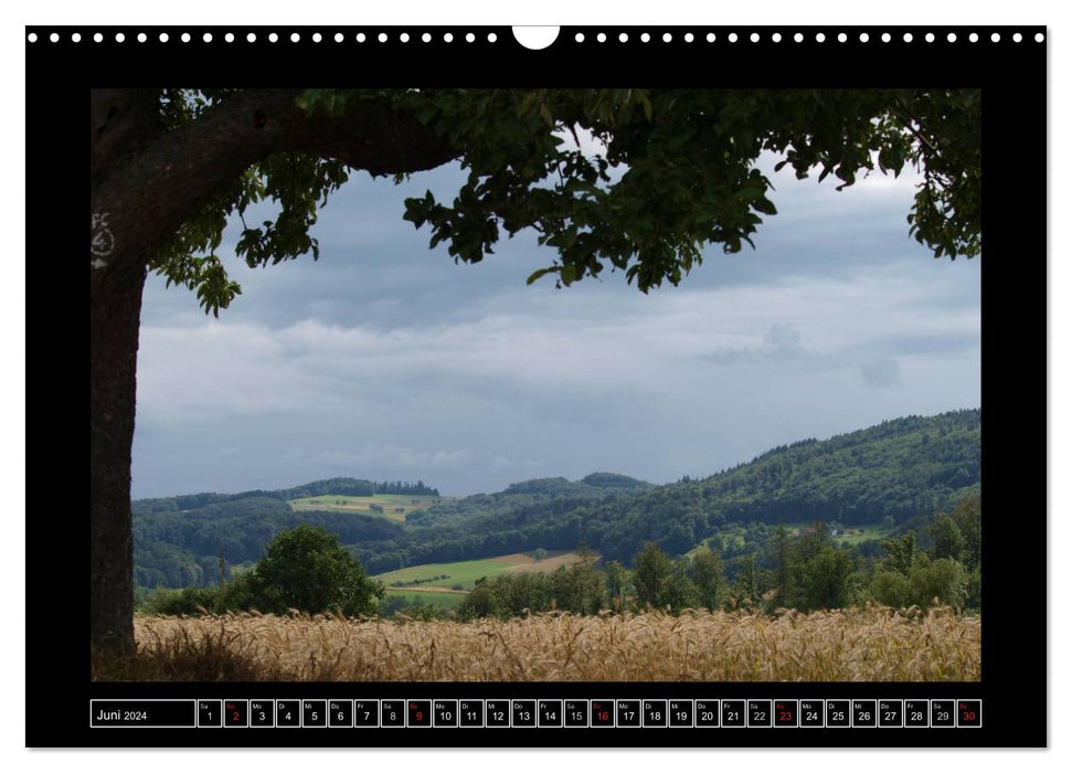 Odenwald - see the landscape (CALVENDO wall calendar 2024) 