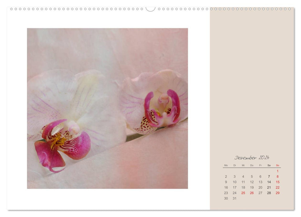 Blütenträume (CALVENDO Premium Wandkalender 2024)