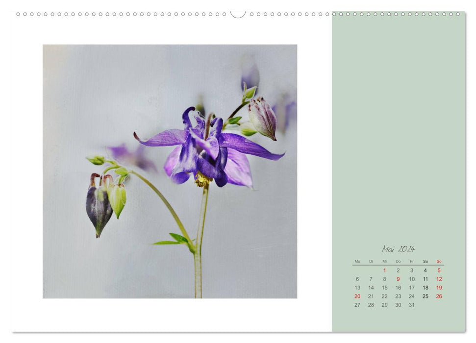 Flower Dreams (CALVENDO Premium Wall Calendar 2024) 